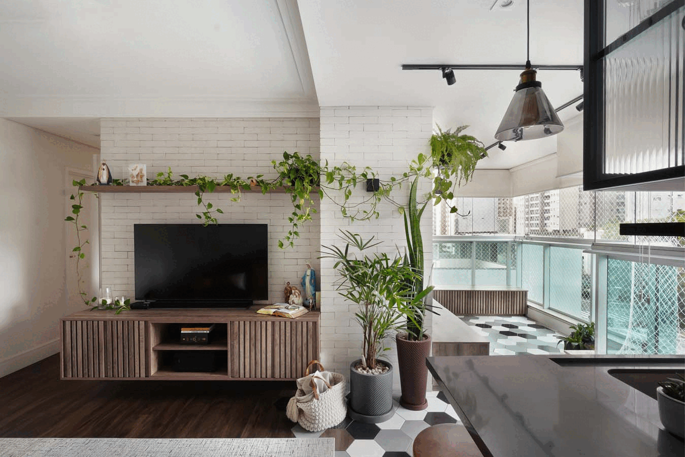 You, Me and The Dogs — ambiente entregue